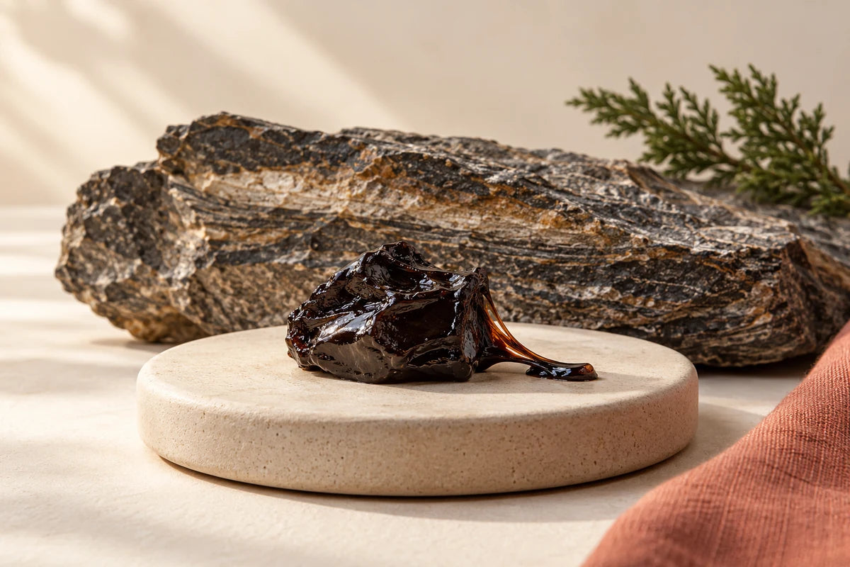 Shilajit resin and natural mineral textures in an editorial still life