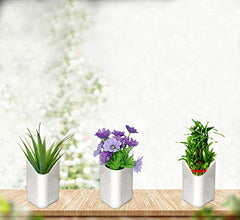 Multicolor vertical planter, easy to hang on walls.