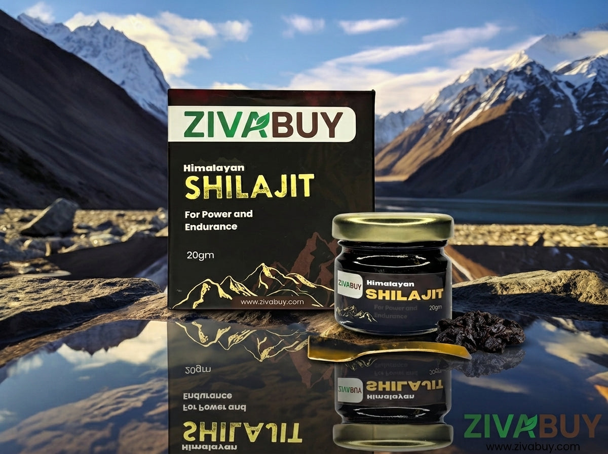 Daily Wellness Premium Bundle