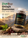 Daily Wellness Premium Bundle