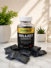 Shilajeet Gummies (30 Gummies)