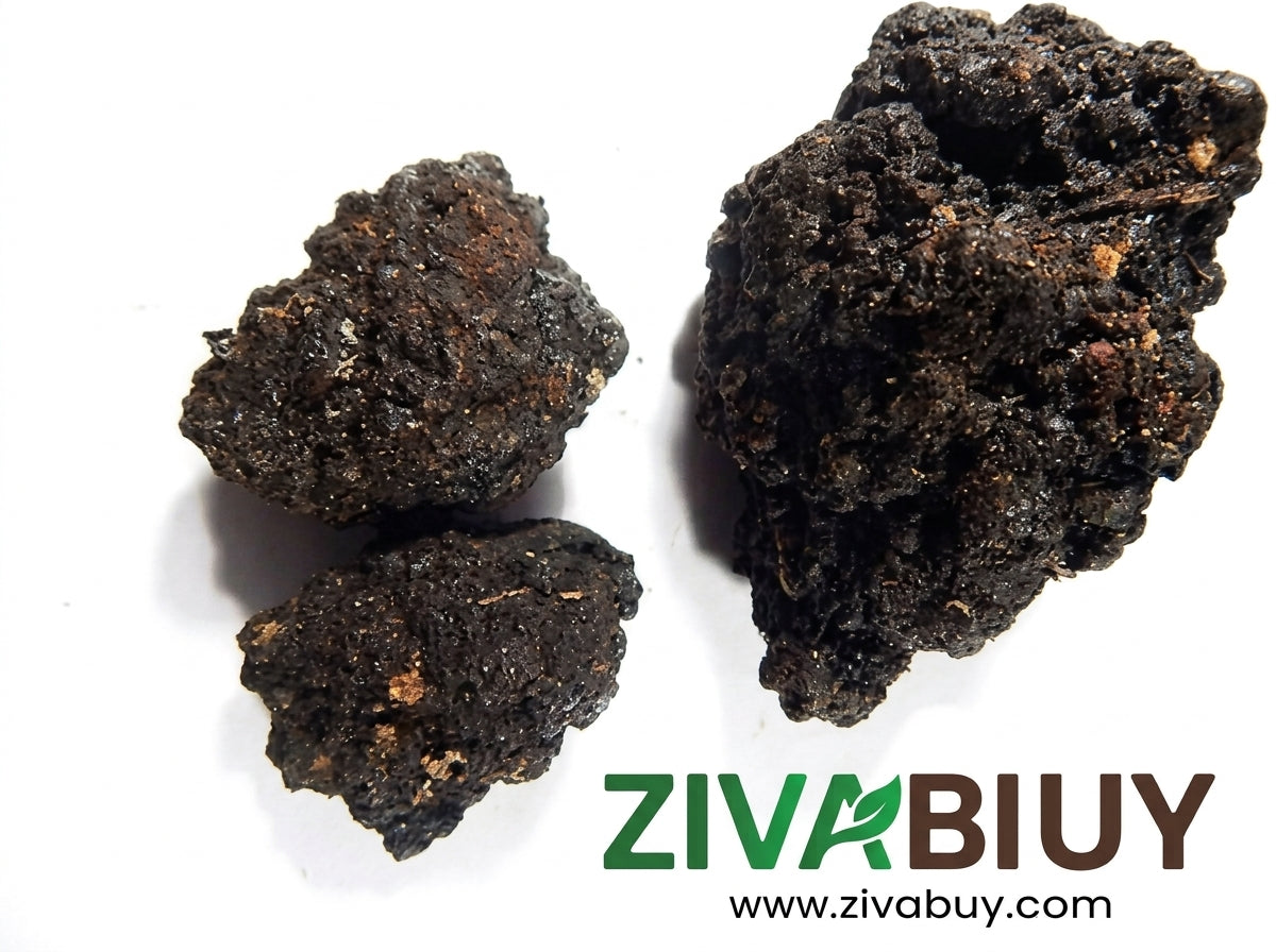 🌿Himalayan Shilajit Resin | हिमालयन शिलाजीत रेज़िन